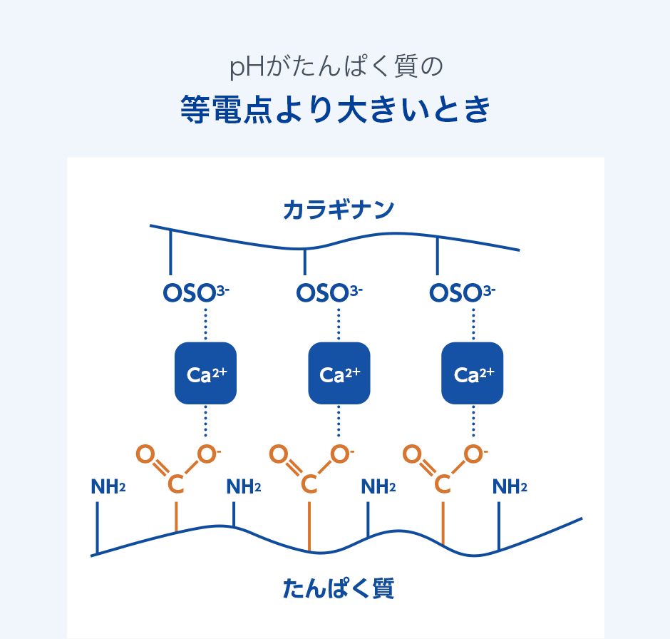 pHがタンパク質の等電点より大きいとき
