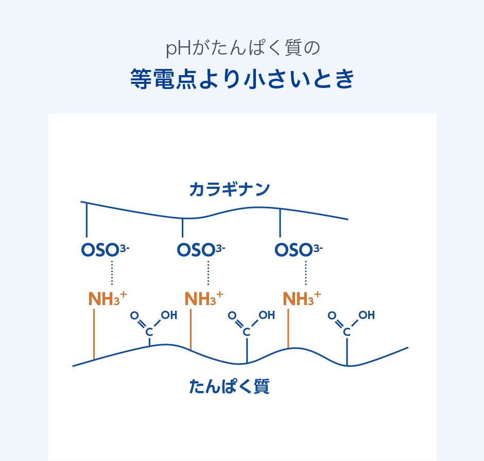 pHがタンパク質の等電点より小さいとき