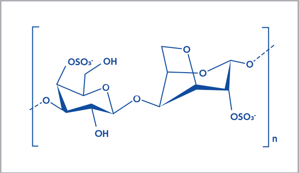 ι（イオタ）型