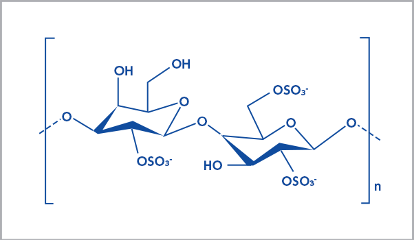 λ（ラムダ）型
