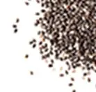 種子コーティング