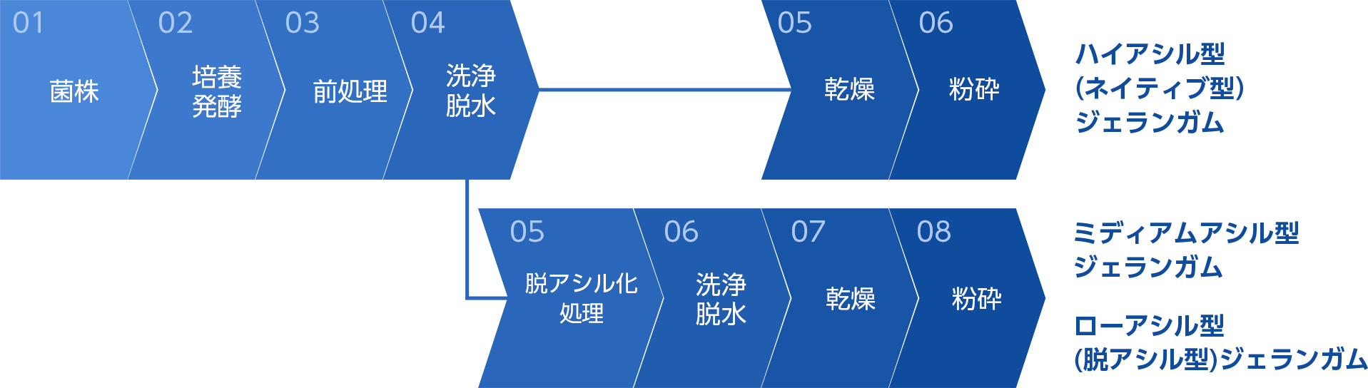 ジェランガムの製造工程