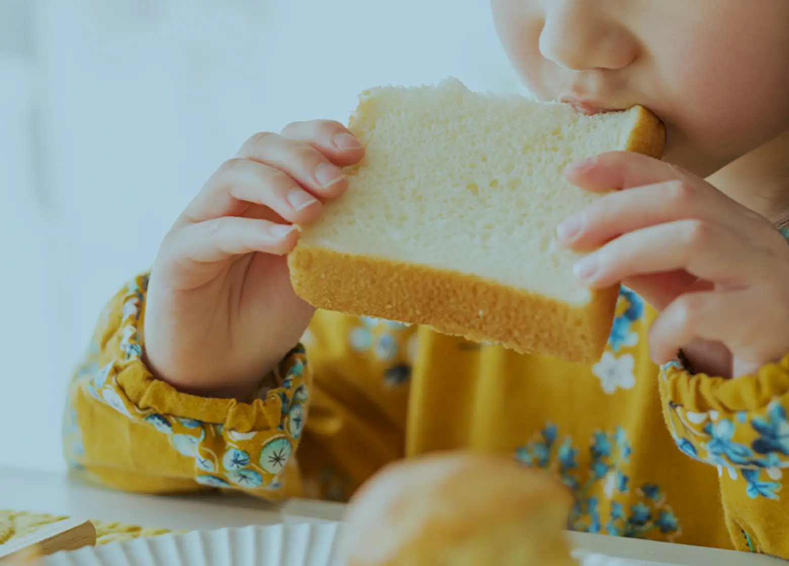 キミカグループのノウハウを結集して食と暮らしの未来へ イメージ