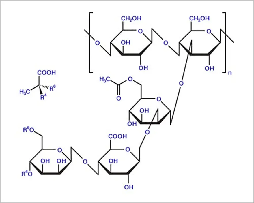 キサンタンガムの構造